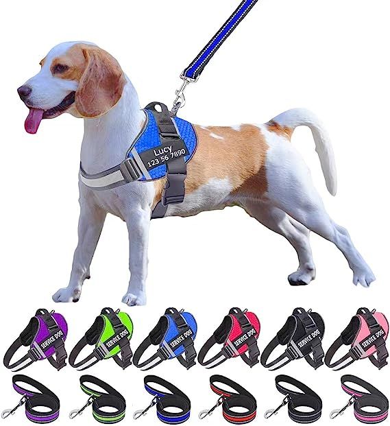 CLASSIC ESSENTIALS - Personalized No Pull Dog Harness