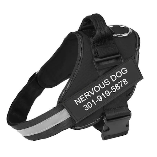 CLASSIC ESSENTIALS - Personalized No Pull Dog Harness